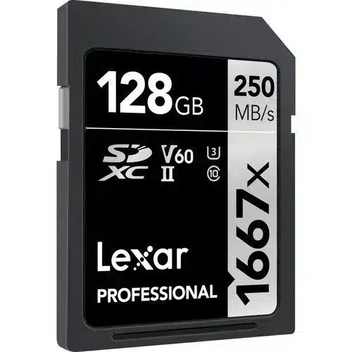 Memoria Lexar Professional 1667x