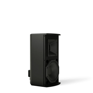 Bose ArenaMatch AMU108-120 Altavoz Compacto