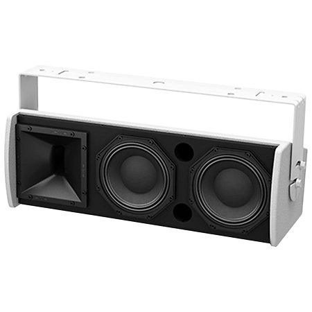 Altavoz Bose ArenaMatch AMU208